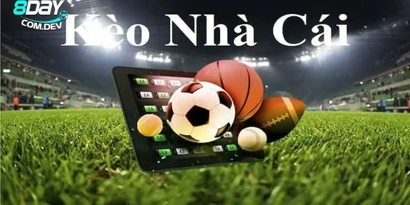 Cách Soi Kèo Nhà Cái Chuẩn – Mẹo Đọc Kèo Hiệu Quả Nhất 4 Các chiến thuật giúp bạn tăng tỷ lệ thắng lợi khi cược